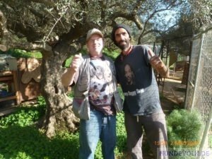 Norman und Nikos